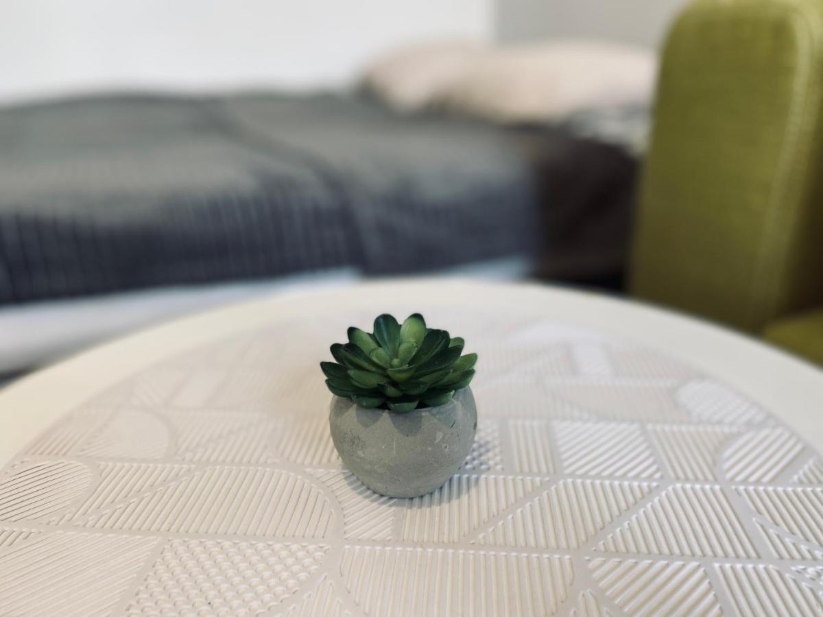 Luxodonta Apartamento *